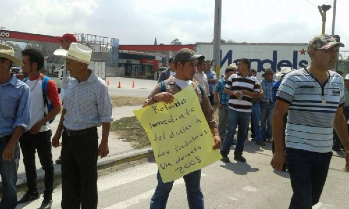 Caficultores piden se realice una auditoría al IHCAFE