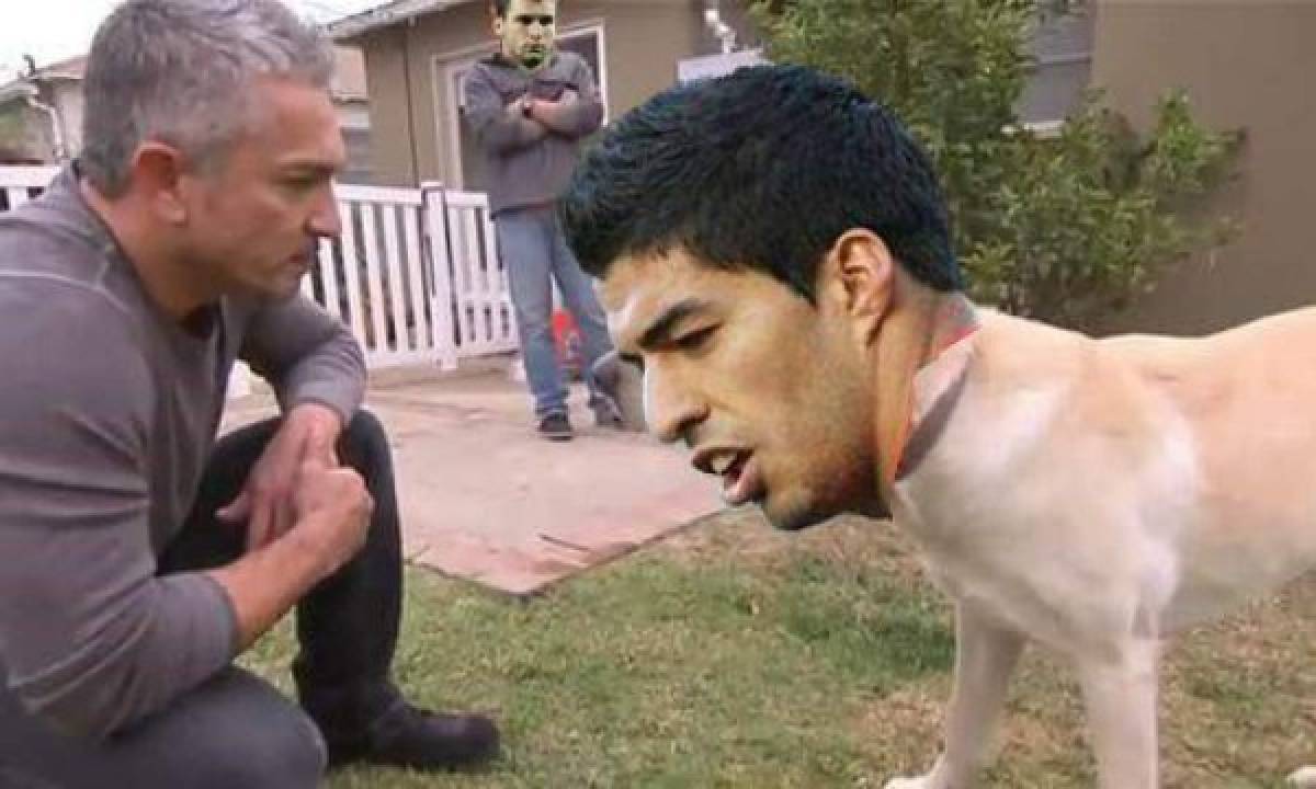 Luis Suárez: el caníbal mundialista de Uruguay