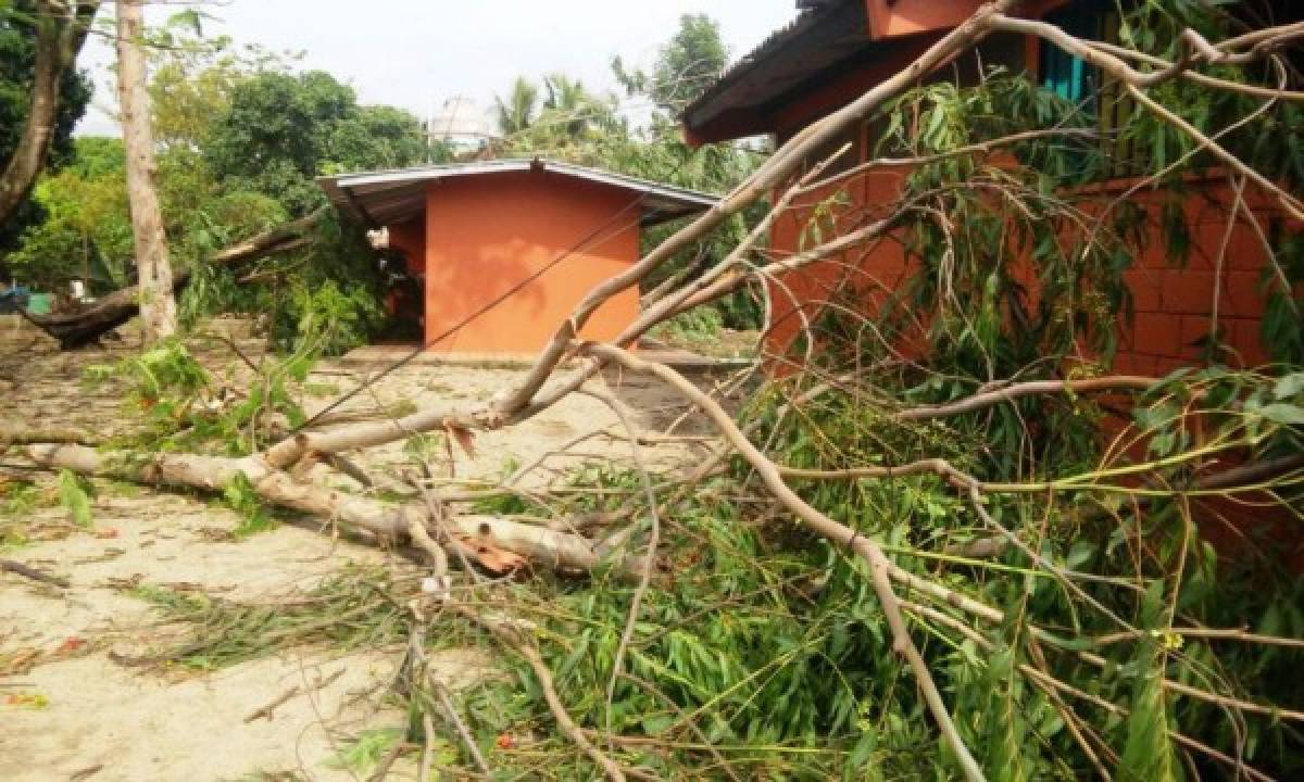 Vientos huracanados dejan daños en al menos 42 viviendas de El Paraíso  