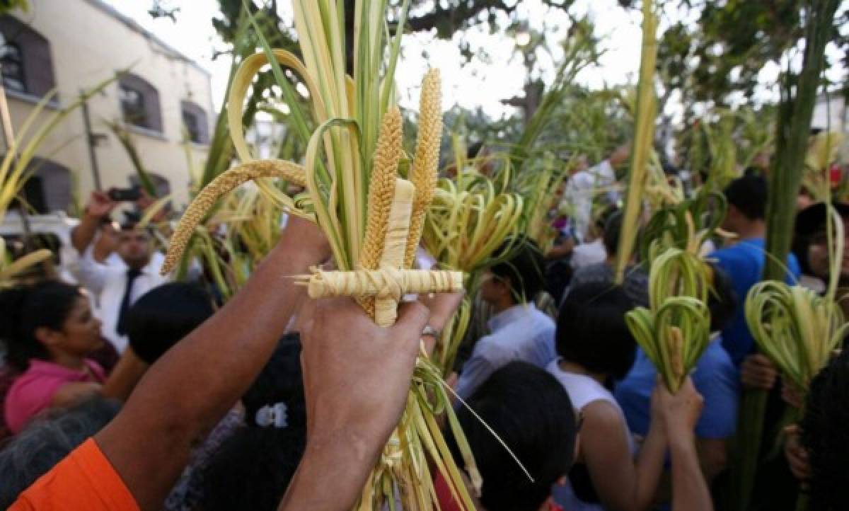 El verde esperanza de las benditas palmas de coyol reviste la capital