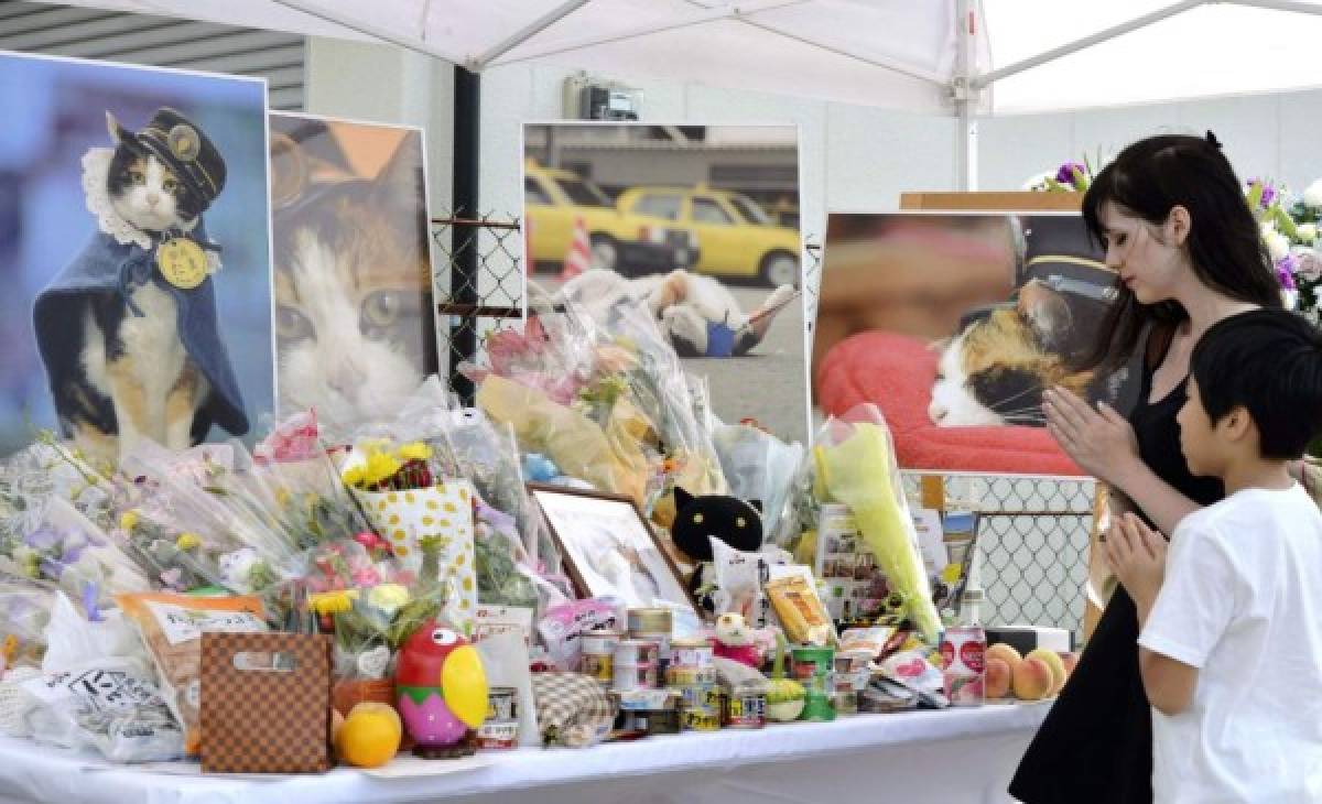 Japón llora la muerte de Tama, la gata jefe de estación