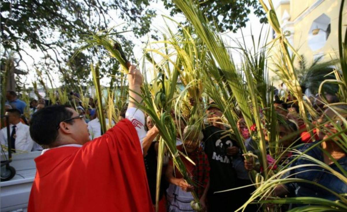 El verde esperanza de las benditas palmas de coyol reviste la capital