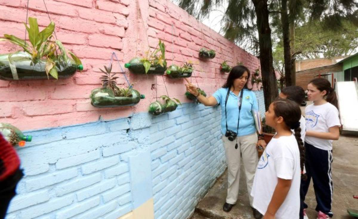 Proyectos con huella ecológica