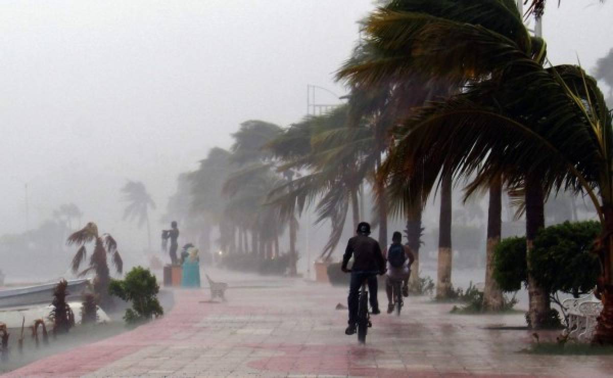 Tormenta tropical Newton vuelve a tocar tierra en México