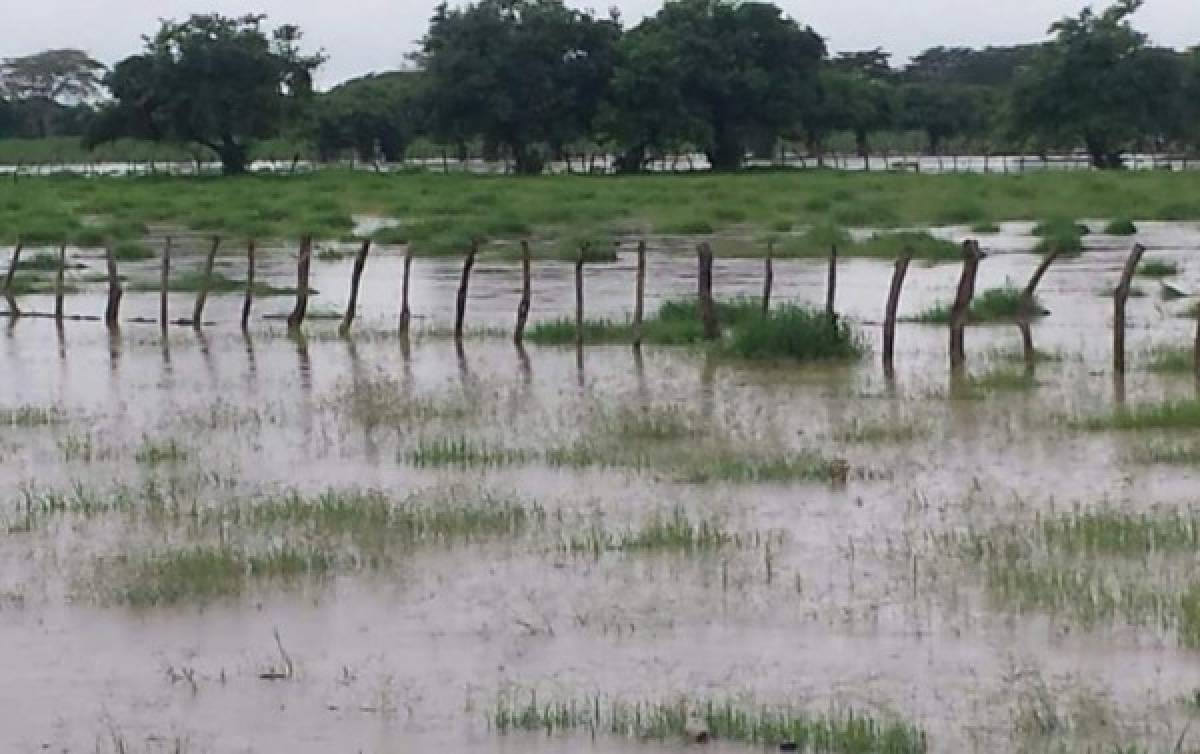 Mantienen alerta amarilla y verde por 24 horas más en 14 departamentos de Honduras