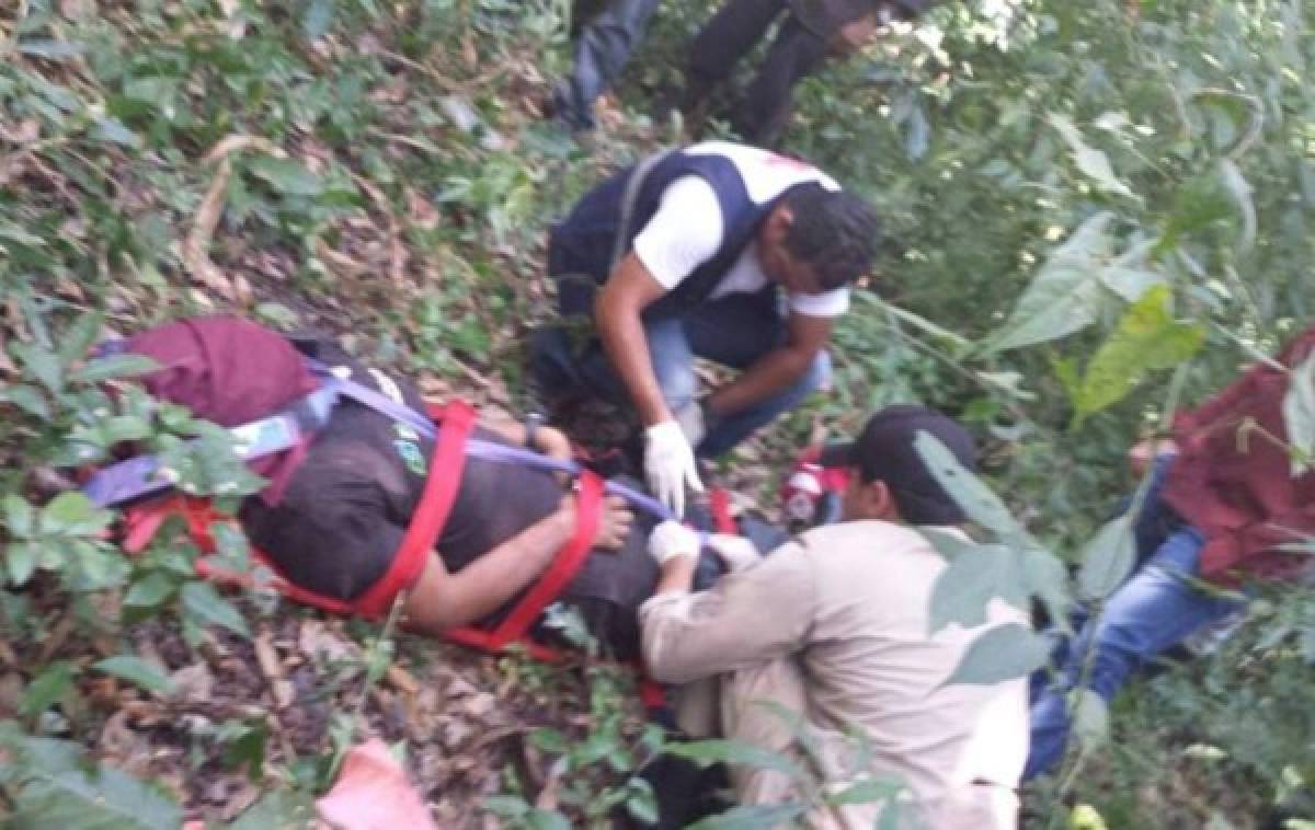 Campesino hondureño muere aplastado por un árbol