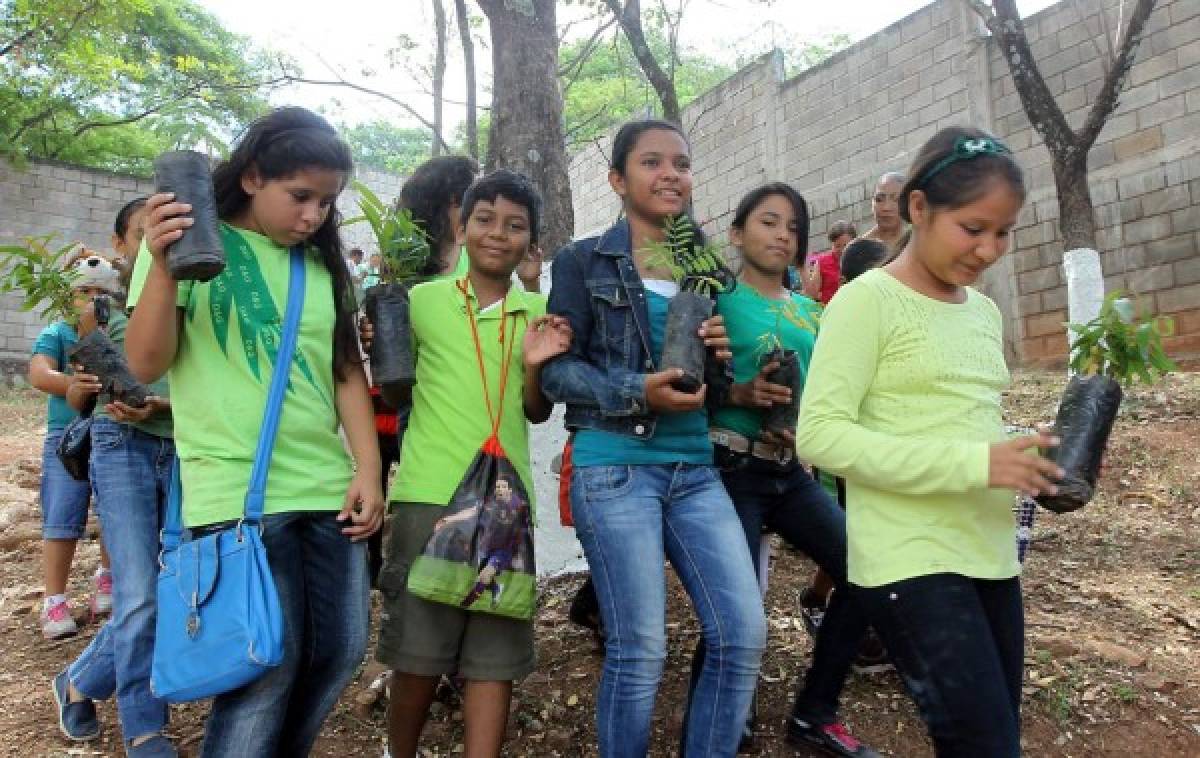 Reforestación en la 21 de octubre