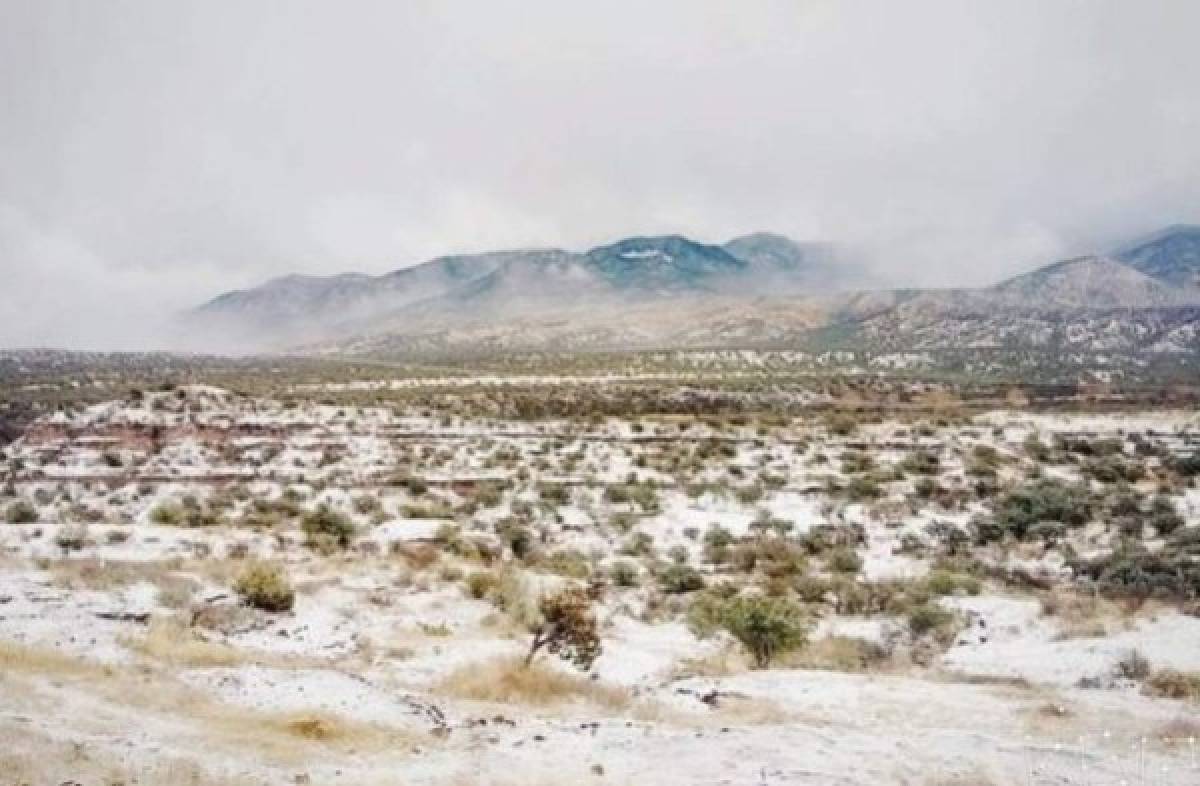 Noroeste de México registra las nevadas más intensas en más de 50 años  