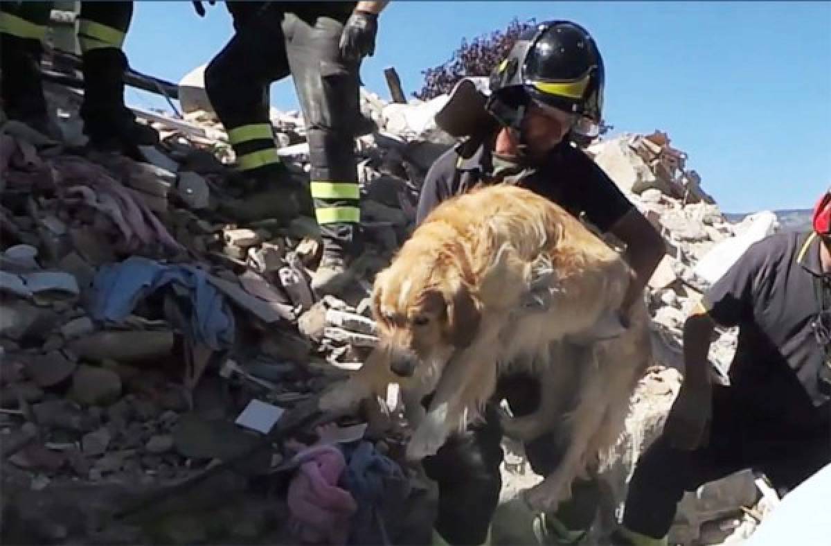 Romeo, un milagro entre los escombros del sismo en Italia 