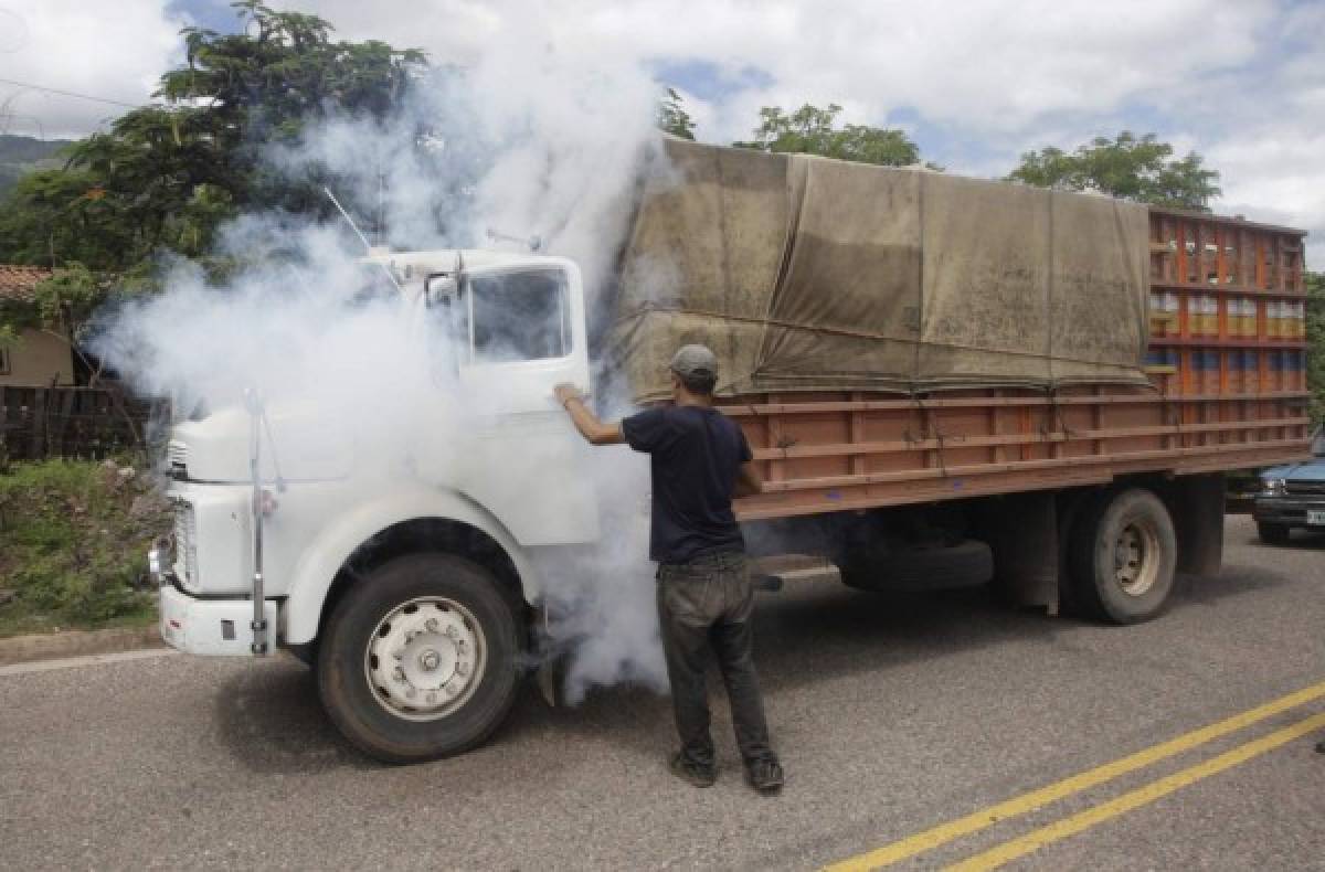 Honduras: Epidemia de chikungunya se extiende a Morocelí