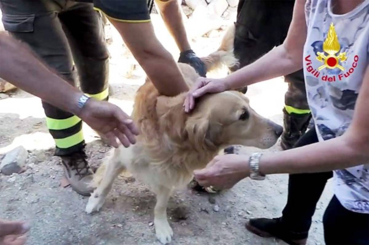 Romeo, un milagro entre los escombros del sismo en Italia 