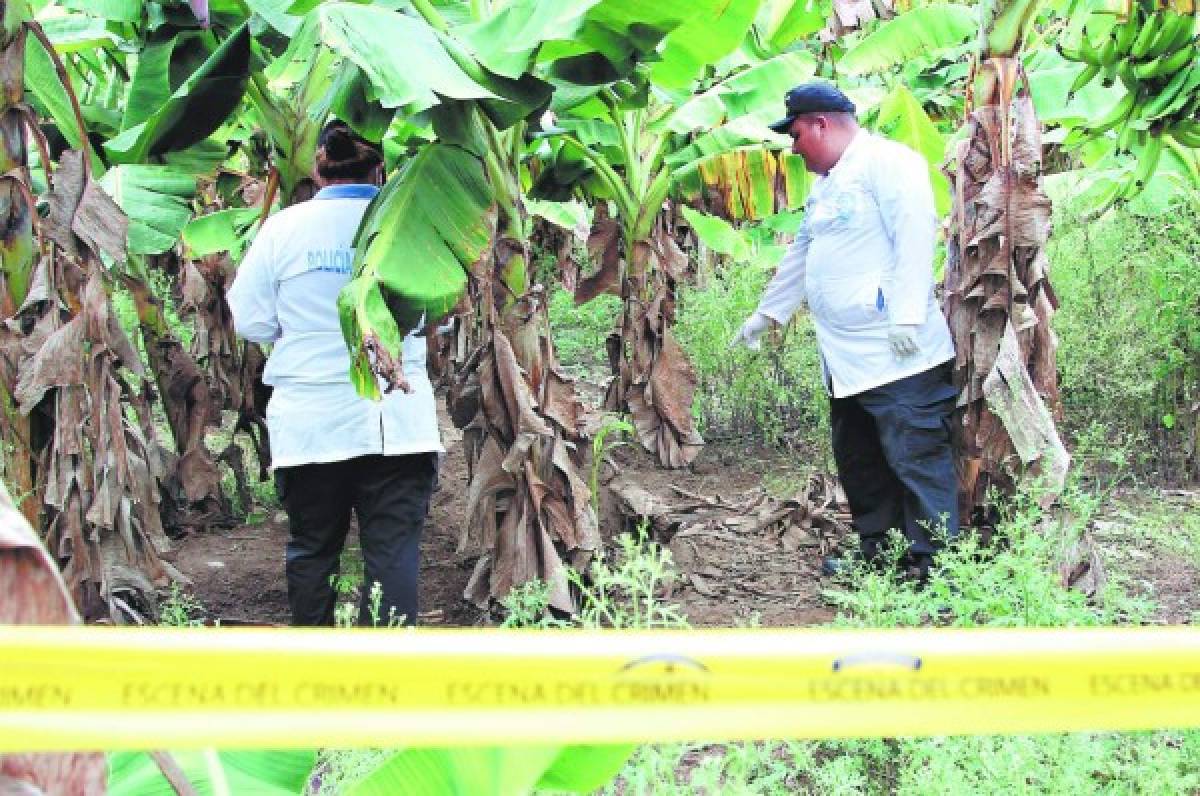 Mareros tenían su propio cementerio clandestino