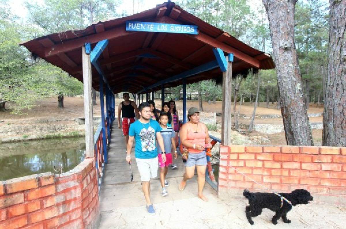 Agua, sol y diversión ofrecen parques acuáticos del norte