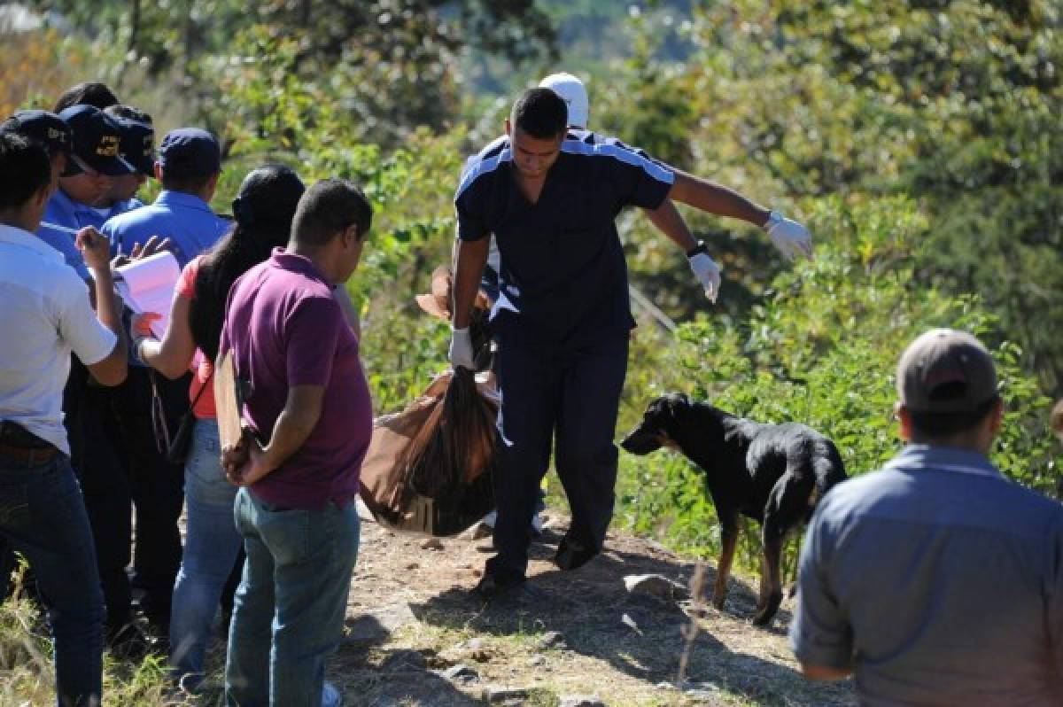 No hay pistas sobre muerte del amo de Clifford