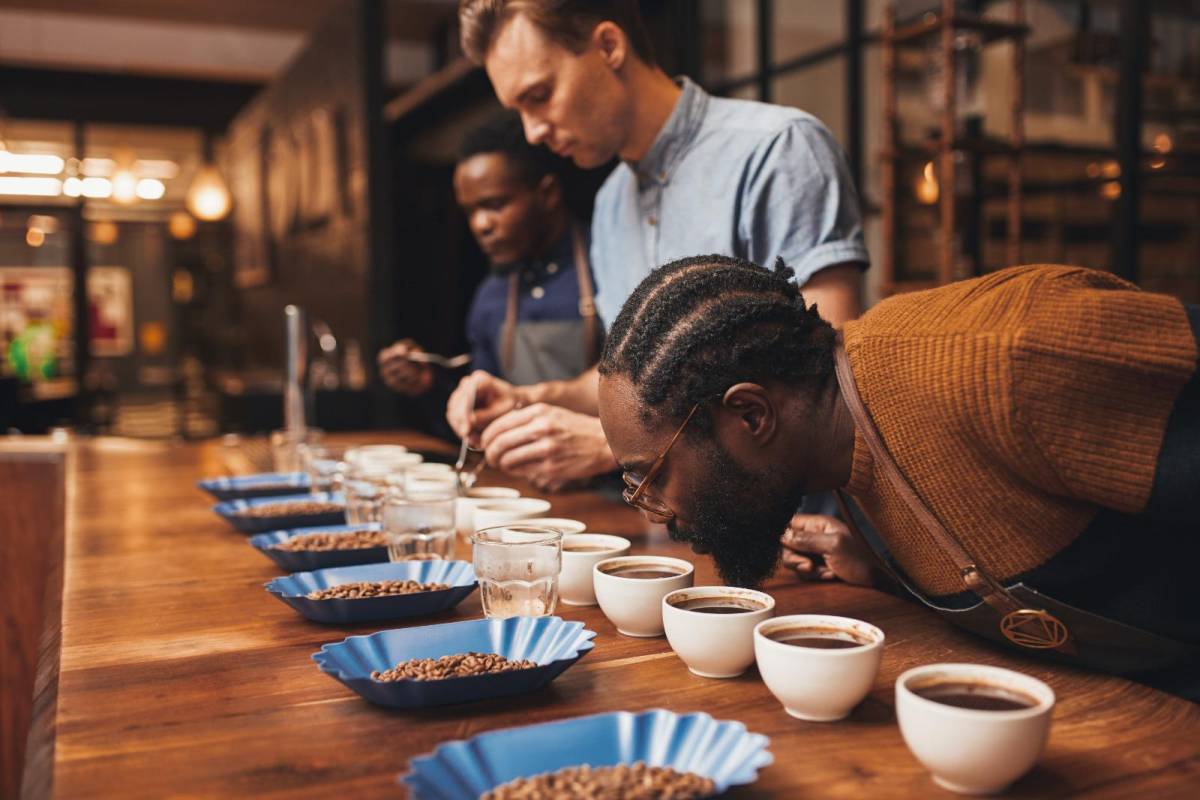 La Taza de Excelencia un reconocimiento a los cafés de calidad suprema