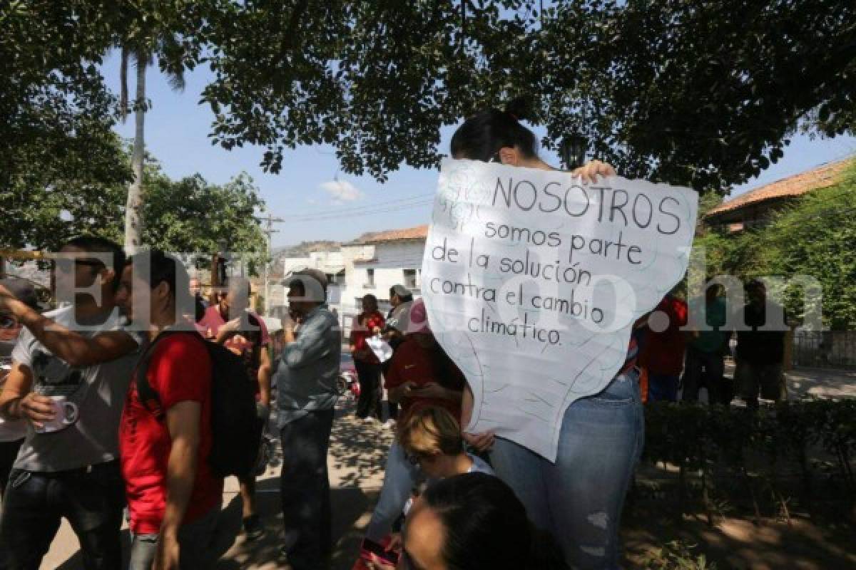 Tegucigalpa: Capitalinos protestan por supuesto plan para talar árboles en parque La Leona