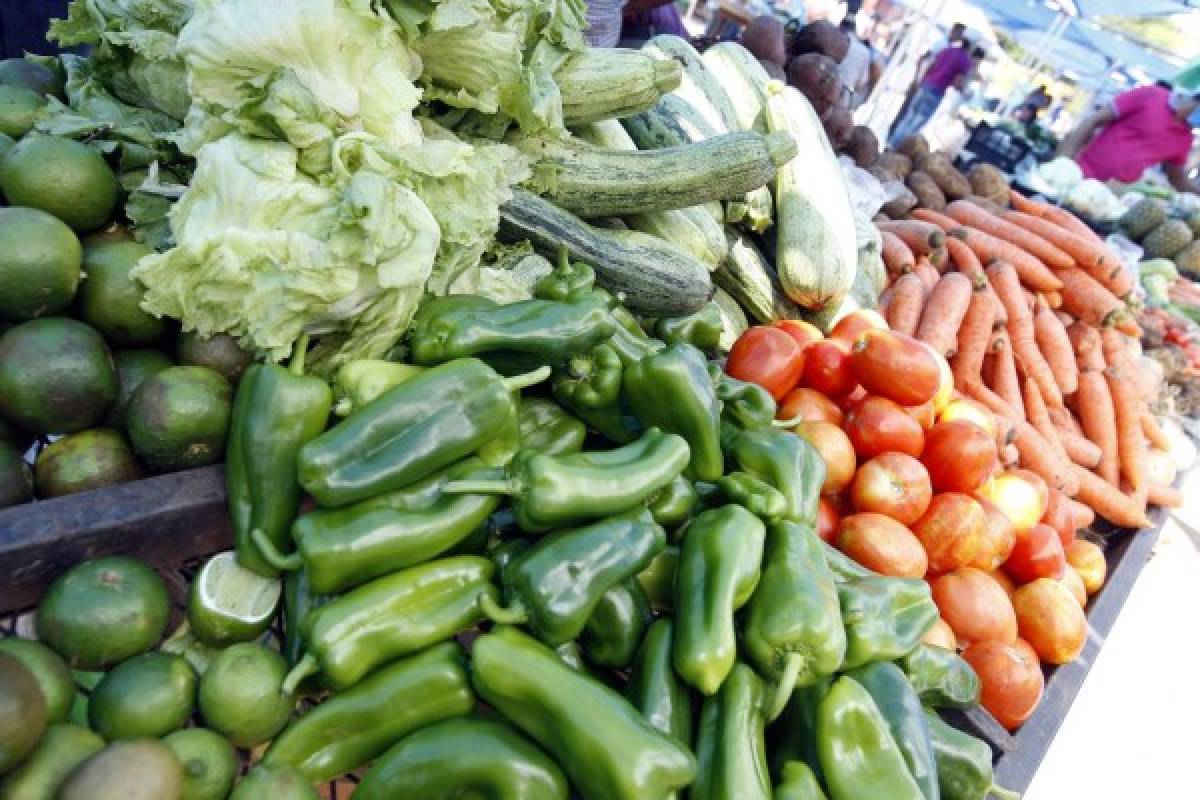 Con las lluvias se espera un aumento del 6% en la producción hortícola