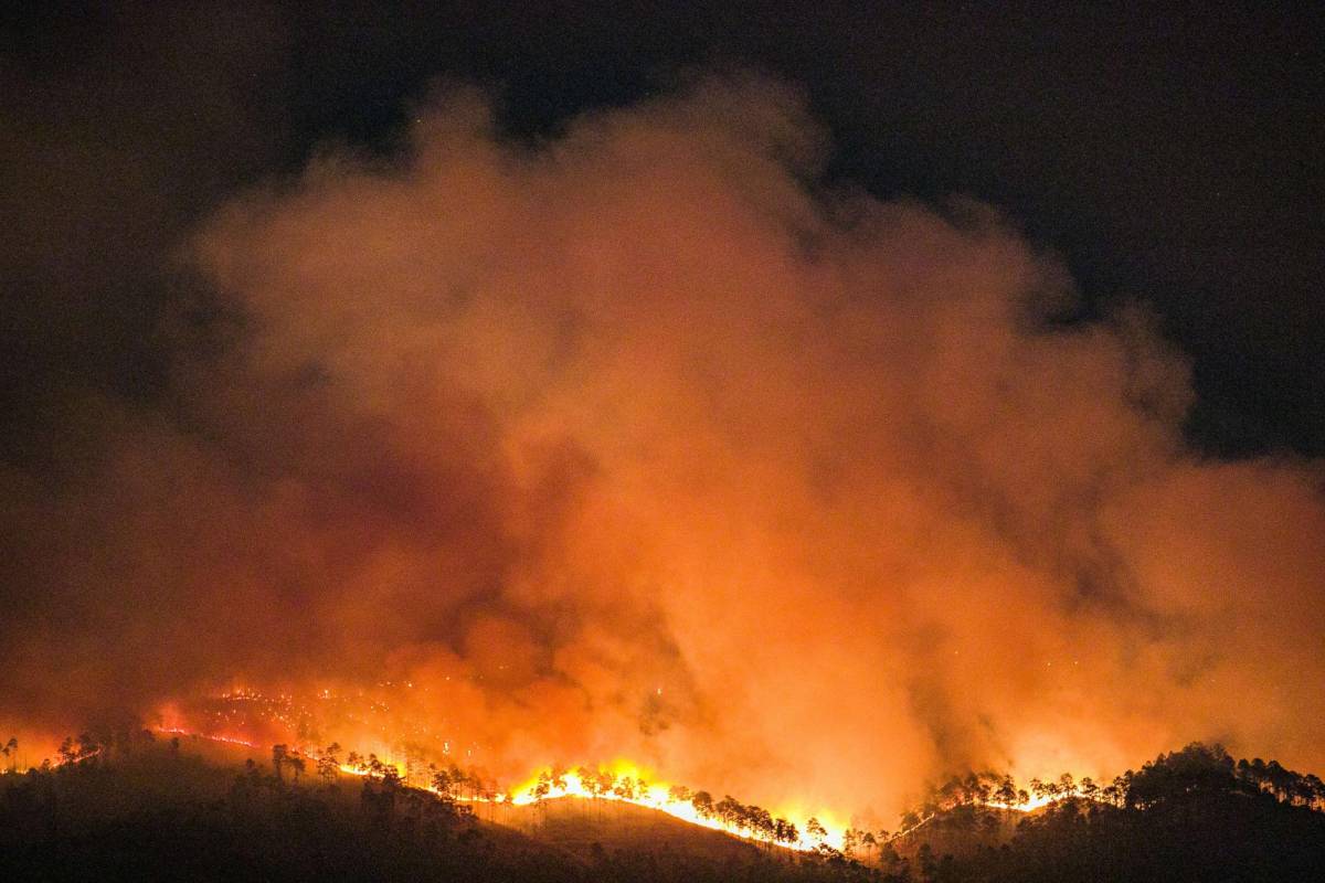 ¿Cuántas hectáreas de bosque dañó el incendio forestal en El Hatillo y La Tigra?