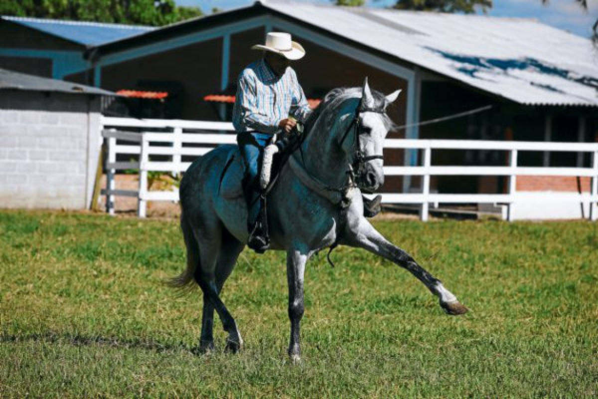 Los caballos tienen una escuela en Talanga