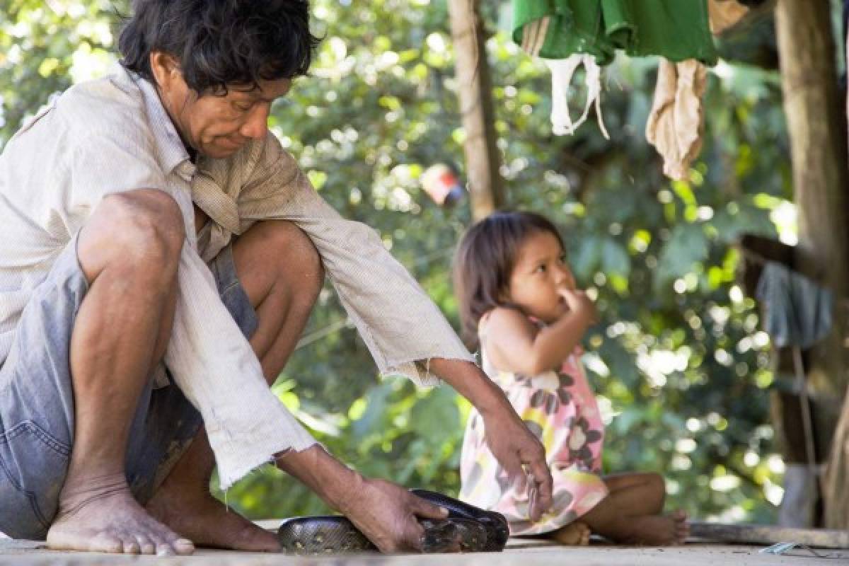 Un vistazo a la exótica selva del Amazonas