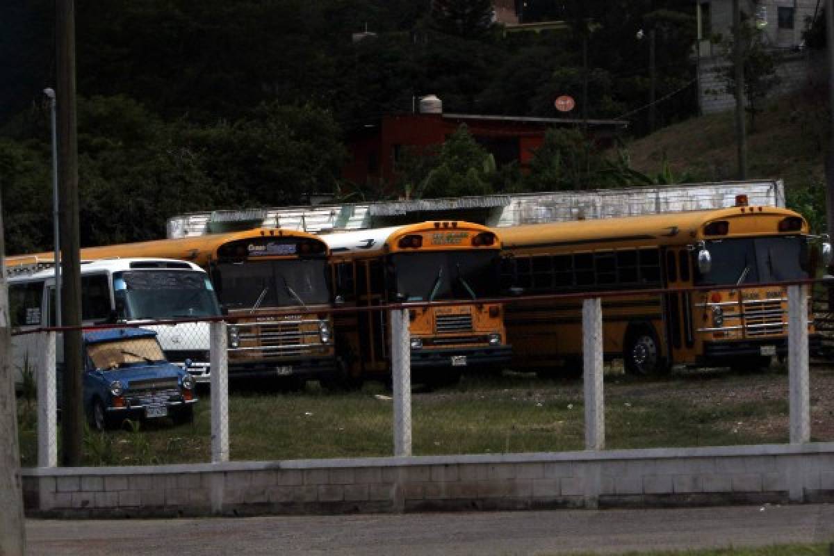 La próxima semana daría servicio el 20% de buses y taxis en la capital