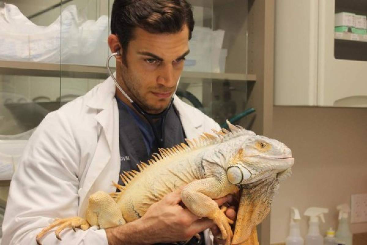 Guapísimo veterinario posa con animales y enamora a las redes