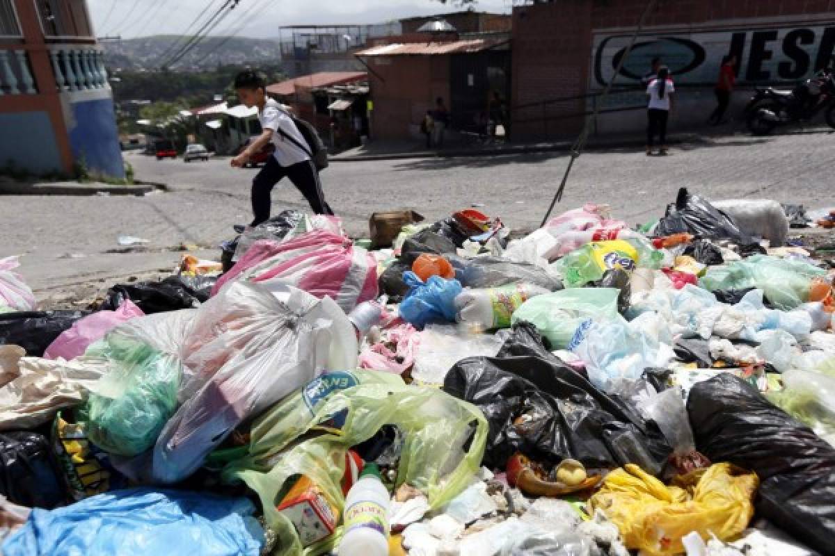 Siete de cada diez centros educativos tienen contaminación por la basura