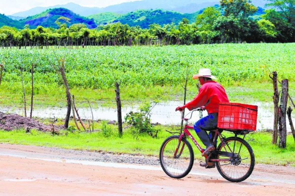 Viciada licitación en proyecto de riego del valle de Jamastrán