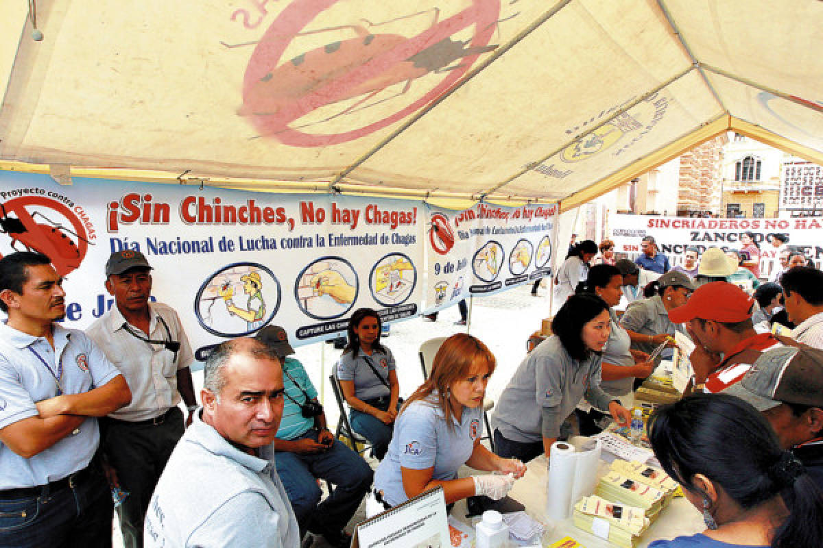 Chinche picuda es una amenaza en la capital