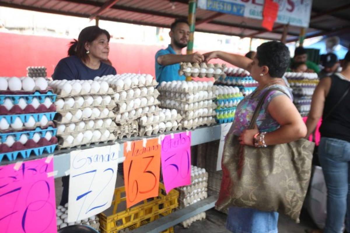 Proponen rebajar congelamiento de precios de la canasta básica