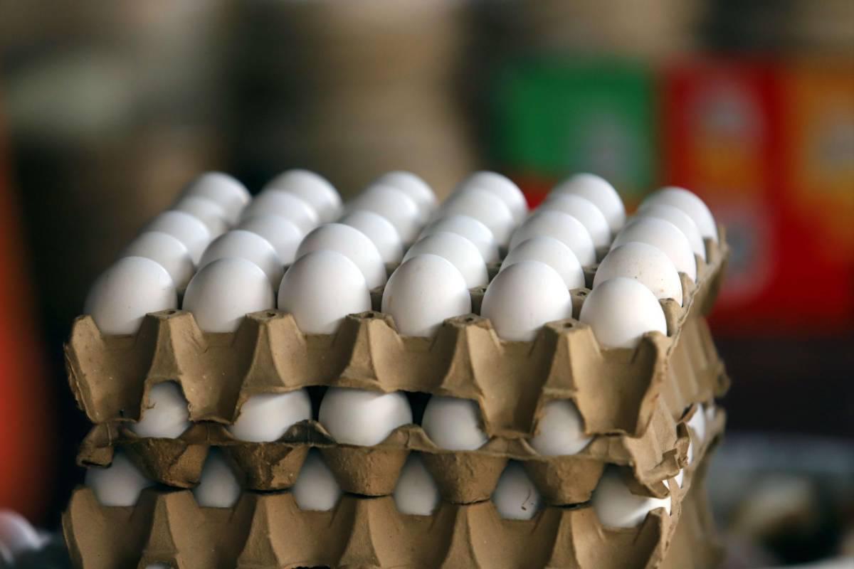En cinco lempiras venden un huevo las pulperías en Tegucigalpa