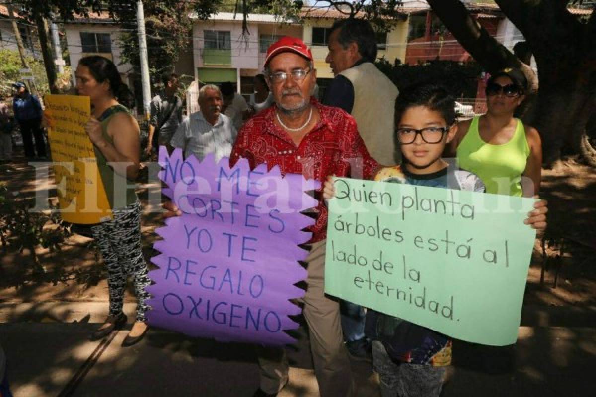 Tegucigalpa: Capitalinos protestan por supuesto plan para talar árboles en parque La Leona