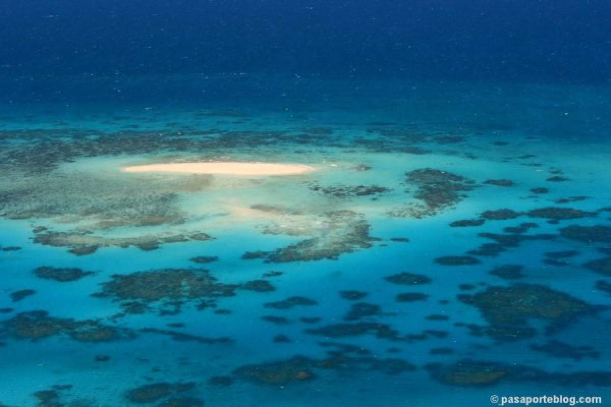 La Gran Barrera de Coral, más amenazada de lo que se pensaba