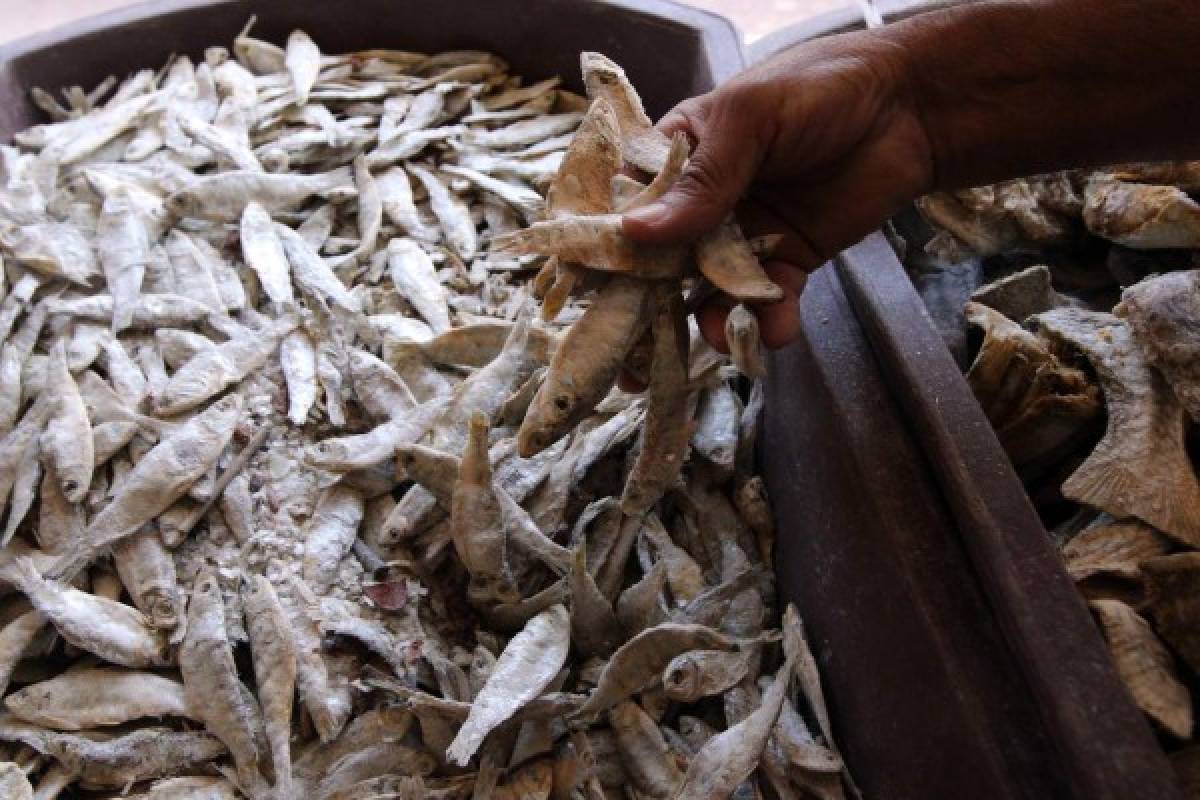 Identifica y prepara un pescado fresco