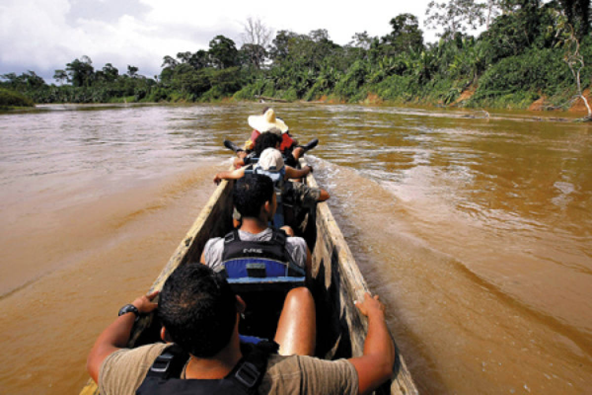 El verde esplendoroso de la selva de La Mosquitia, al este de Honduras