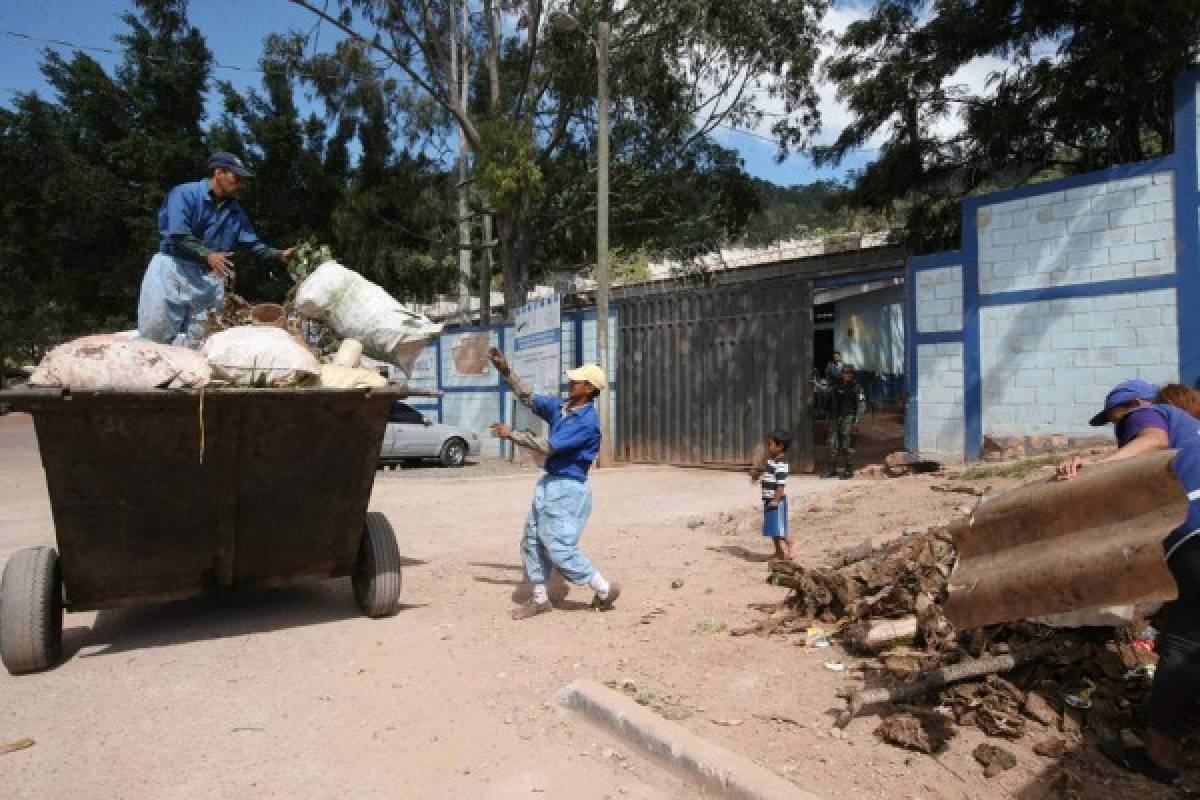 ¡IMPORTANTE! Características del personal que llega a su casa en combate al zika