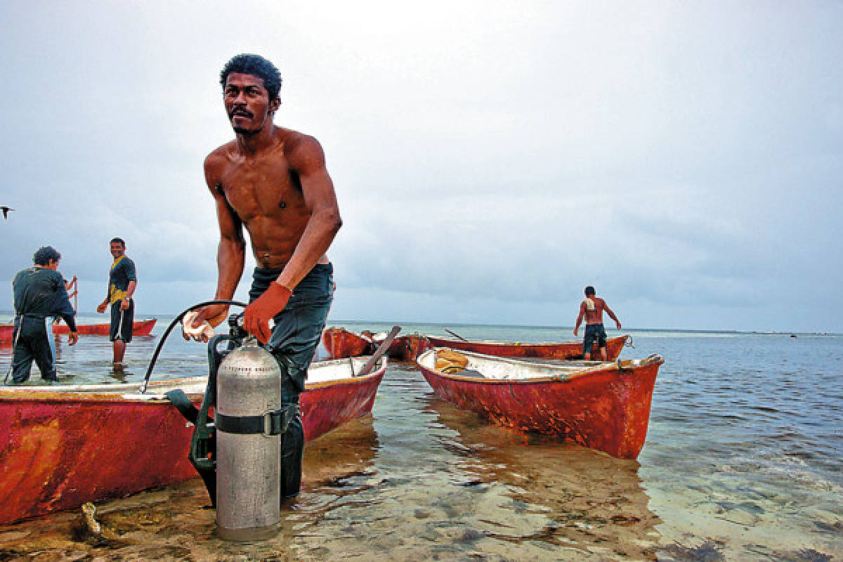 Gobierno de Honduras incumple cierre de pesca de langosta