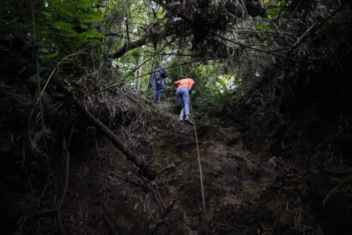 Finca Santa Emilia, un rincón para dejarse consentir por la madre naturaleza