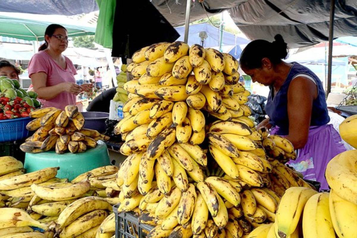 Un recorrido por la Feria del Agricultor y el Artesano