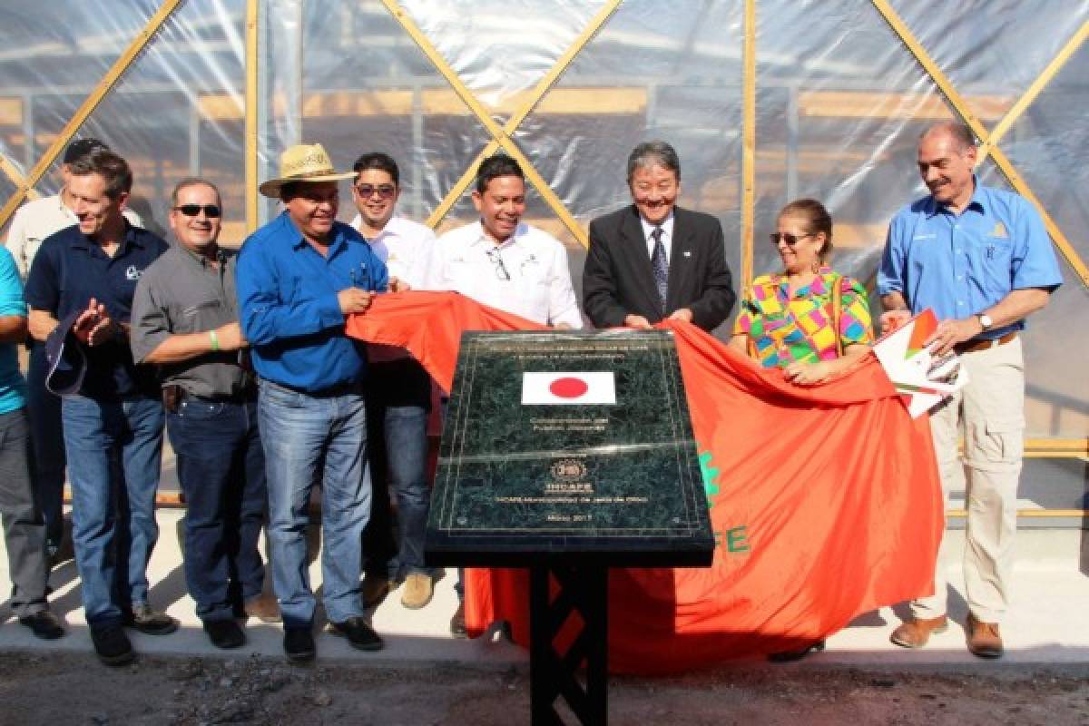 Japón dona 1.5 millones de lempiras para la construcción de una secadora solar de café