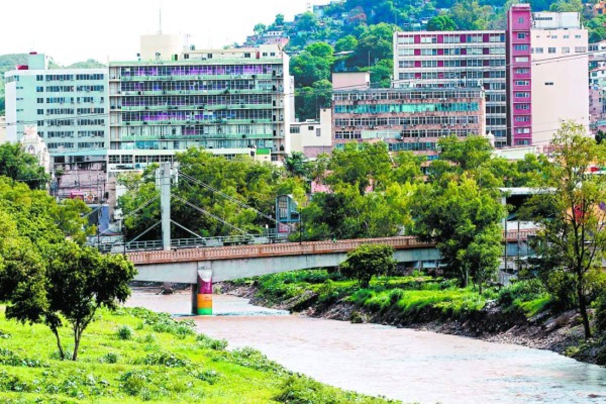 Se activan los Codeles en las colonias y barrios del Tegucigalpa