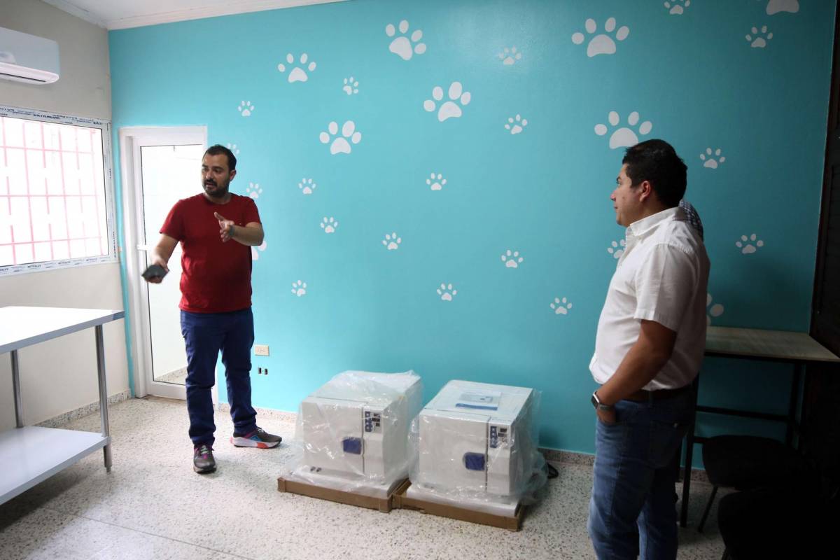 ¿Cuáles son los servicios que brinda la clínica Veterinaria Municipal que se inaugura hoy en la capital?