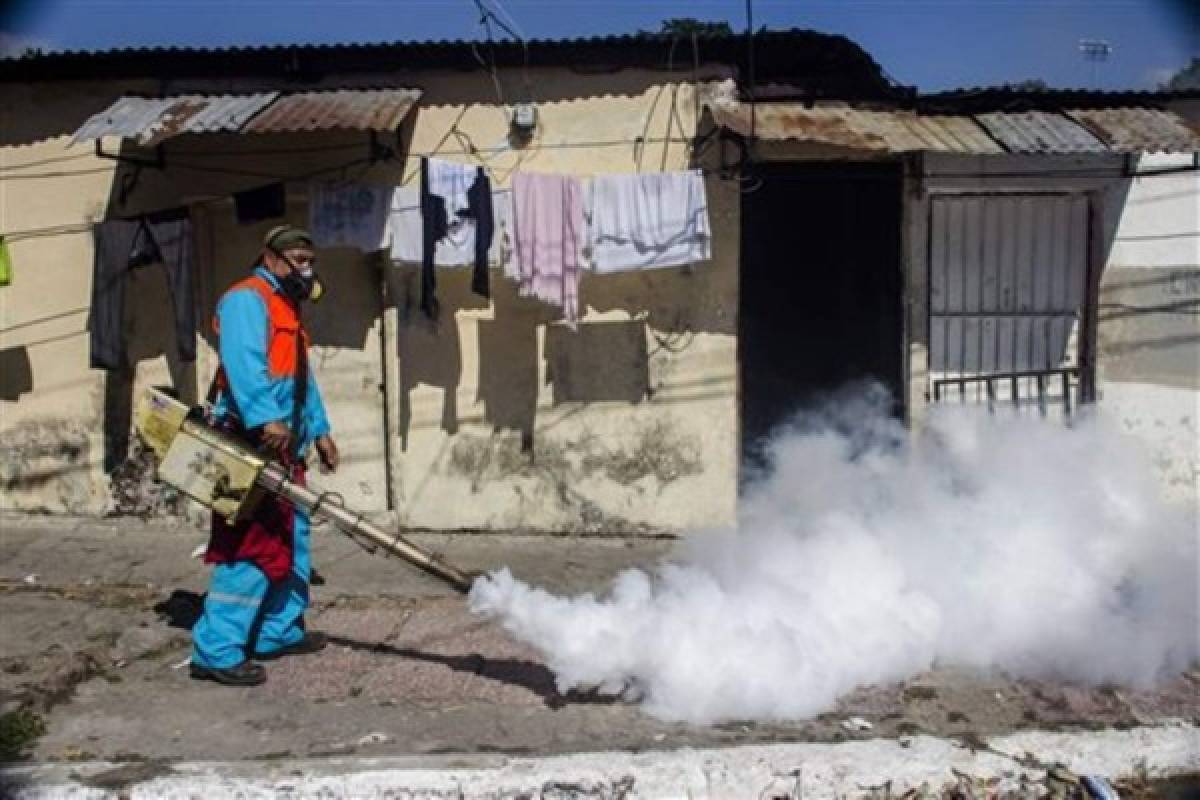 Pandillas complican lucha contra zika en América Central