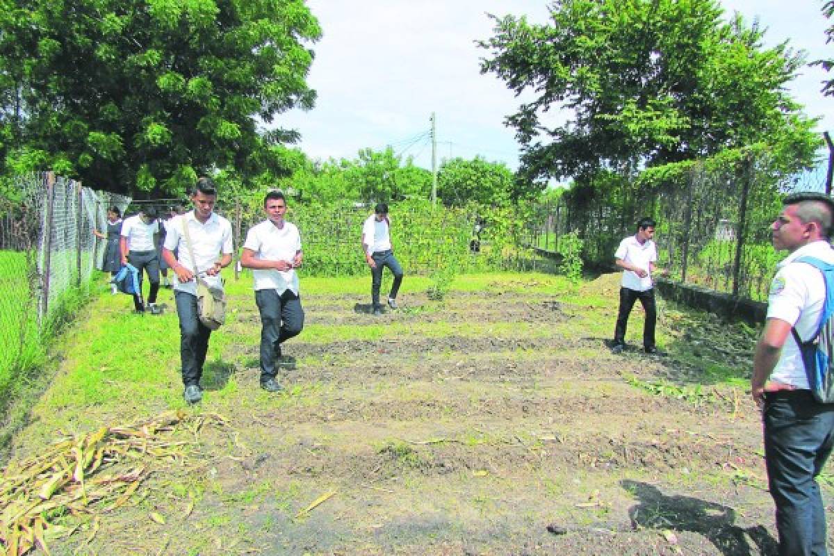 Huertos pedagógicos abastecen merienda escolar en Choluteca