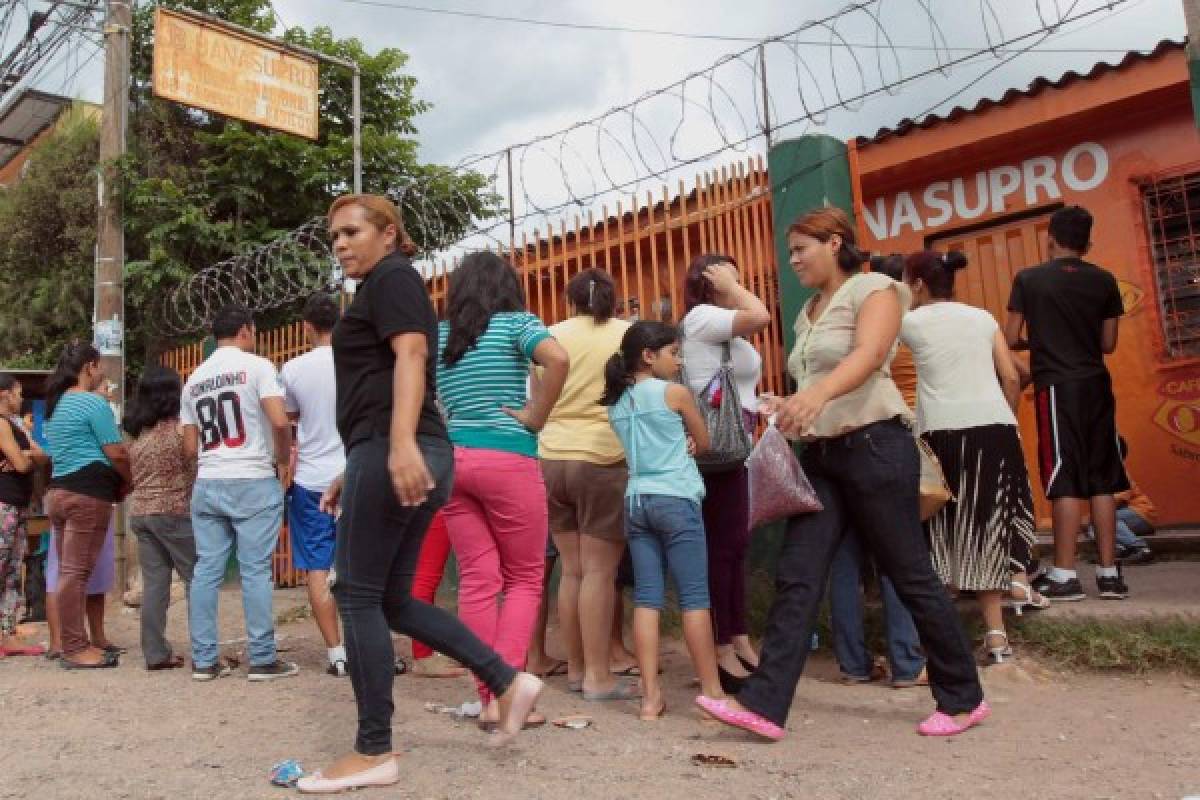 Frijol etíope llega a Feria del Agricultor