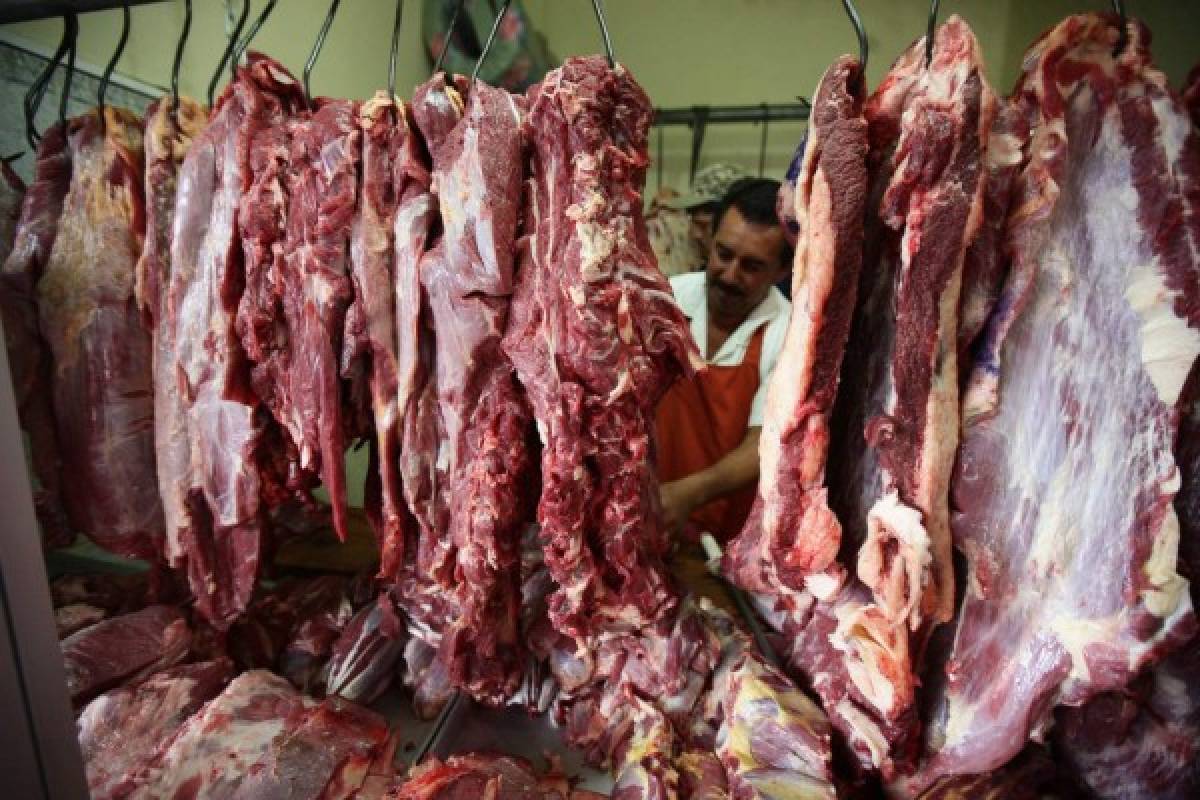 Se aleja posibilidad de escasez de carne de res en Honduras