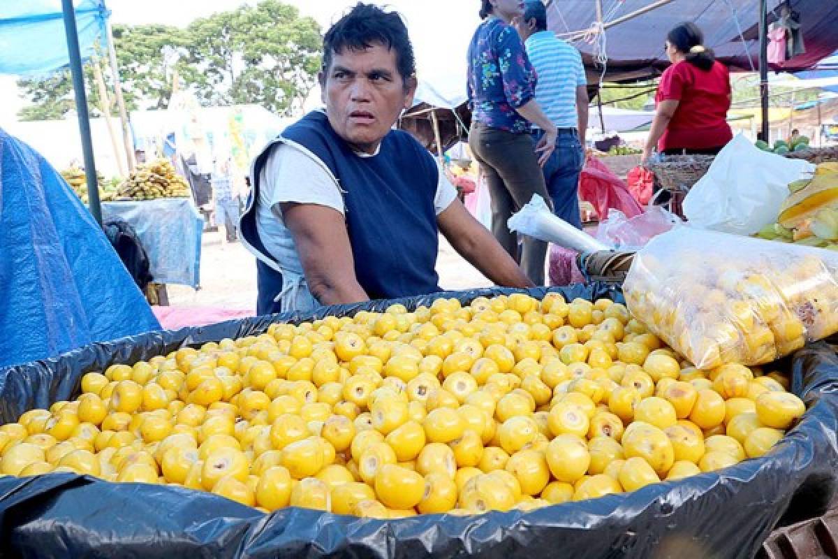 Un recorrido por la Feria del Agricultor y el Artesano