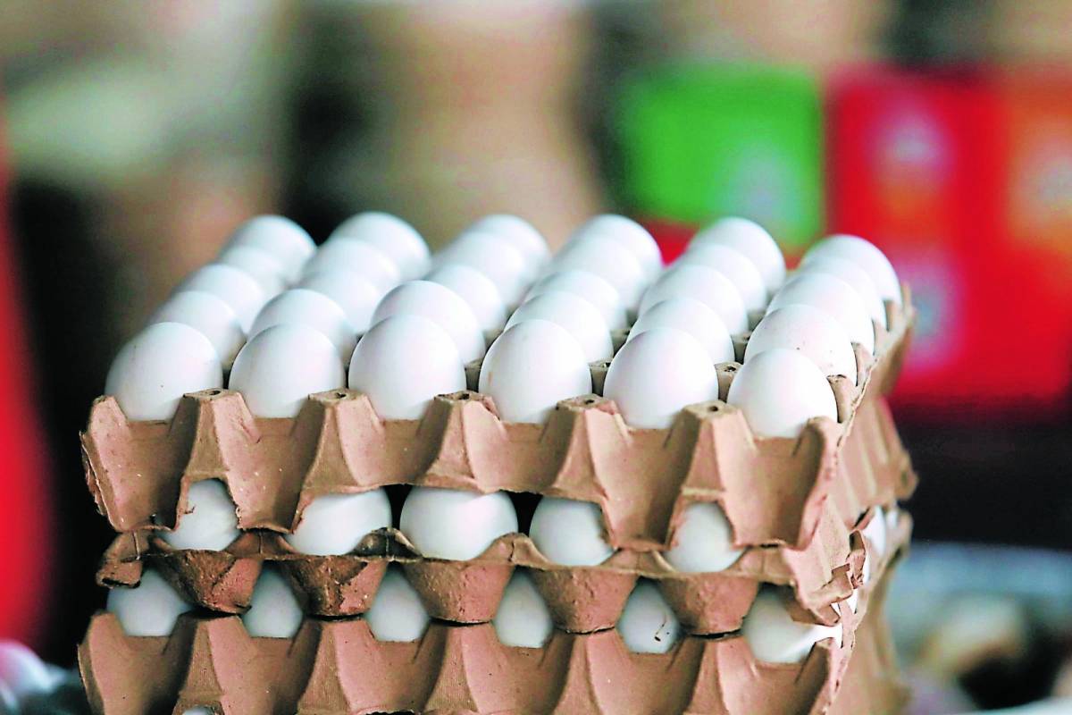 ¿Cuál es el nuevo precio de los huevos en los mercados?