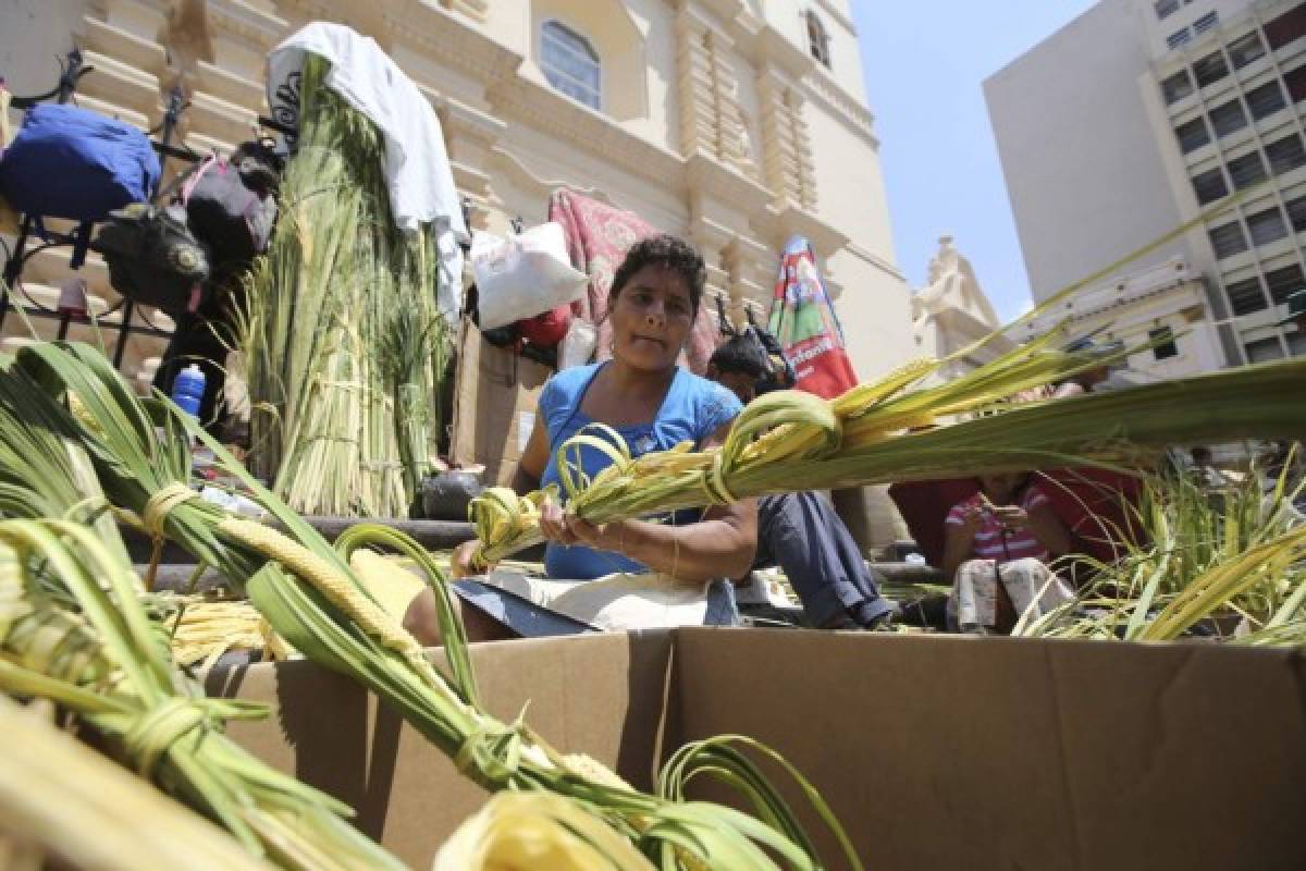 El verde esperanza de las benditas palmas de coyol reviste la capital