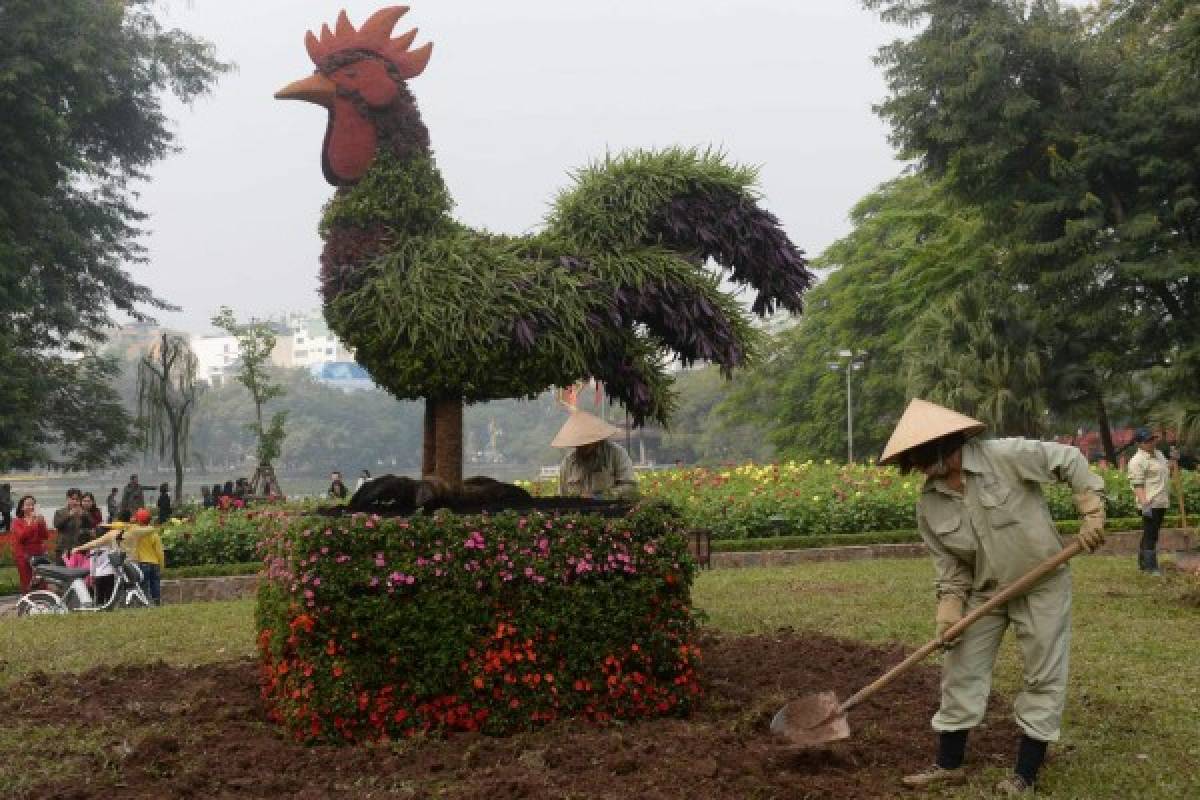 Bajo las alas y el canto en el año del gallo de oro